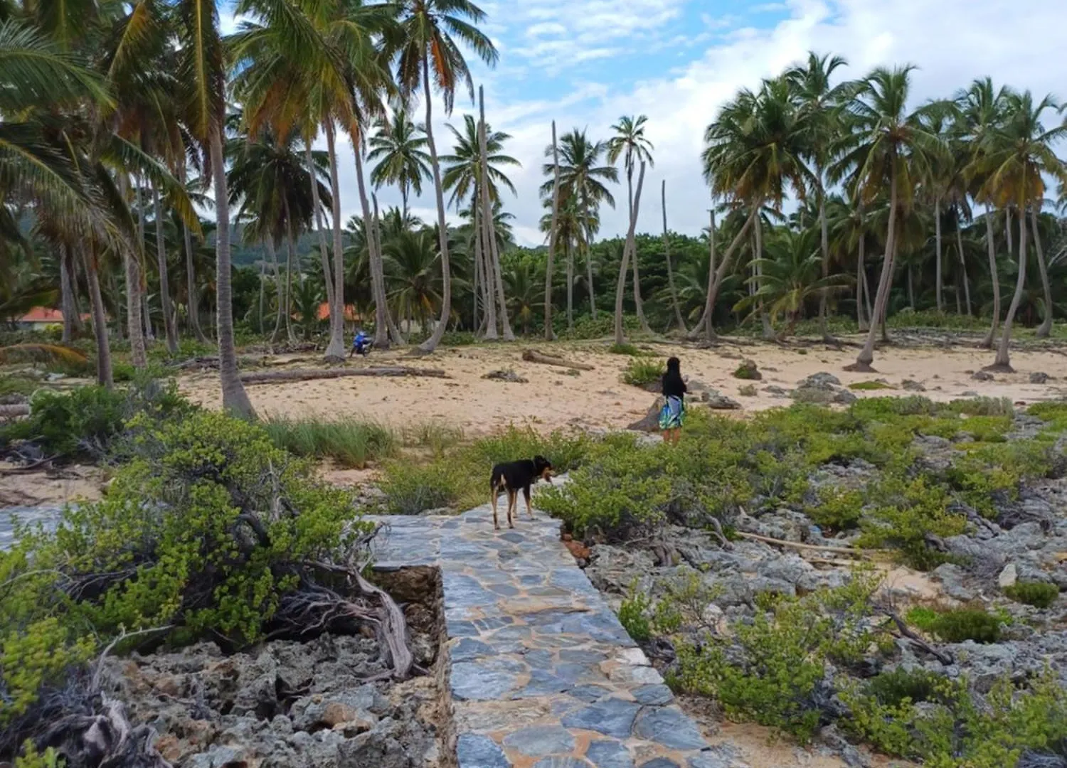 Mangobich Villa Punta Balandra